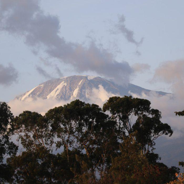 1 Day Mount Kilimanjaro Hike Trip - Image 2