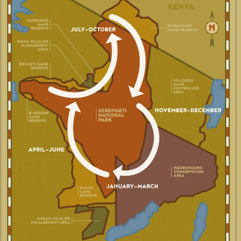 Turacin Wild Safaris