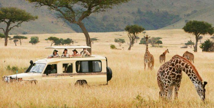 8 Days safari in Tanzania Northern circuit - Image 2