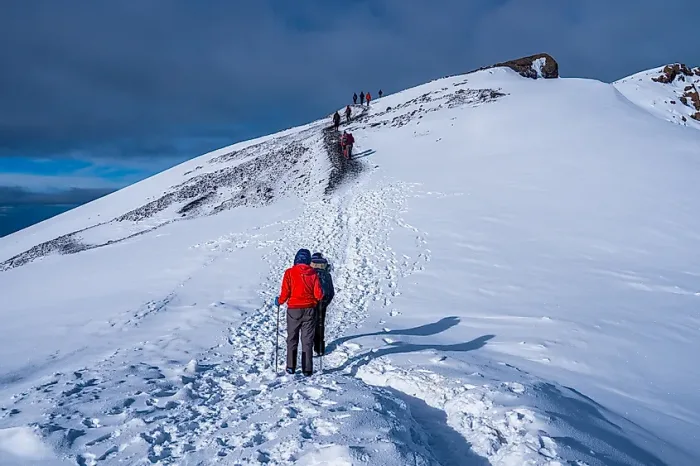 7 Days Mount Kilimanjaro climbing tour - Image 5