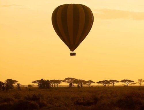 Optional Activities during a wildlife safari in Tanzania