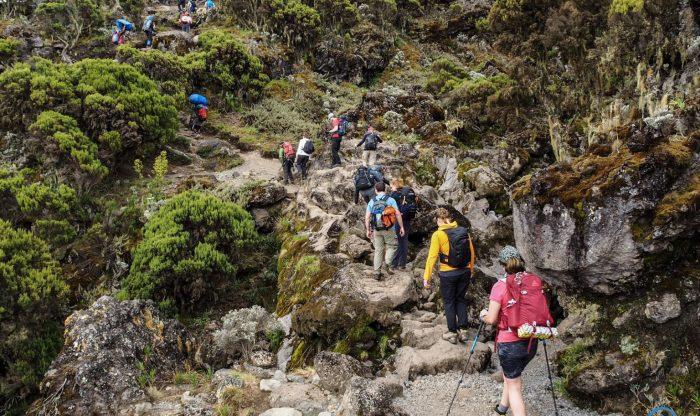 7 Days Mount Kilimanjaro climbing tour